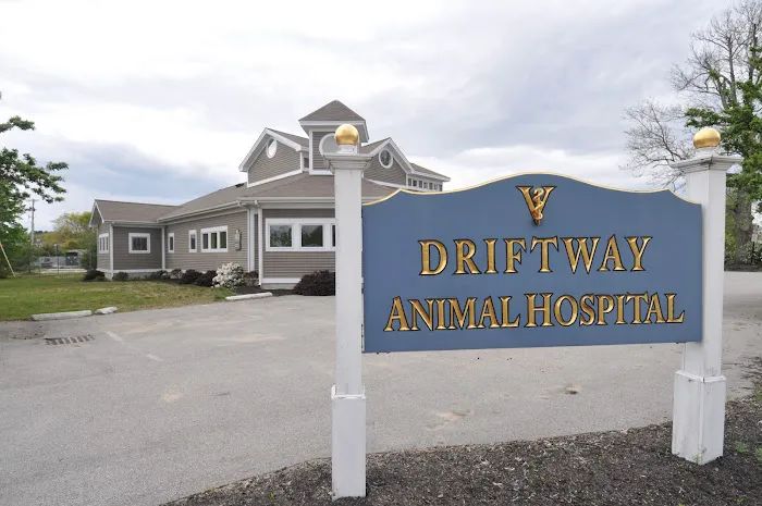 Driftway Animal Hospital Picture 9