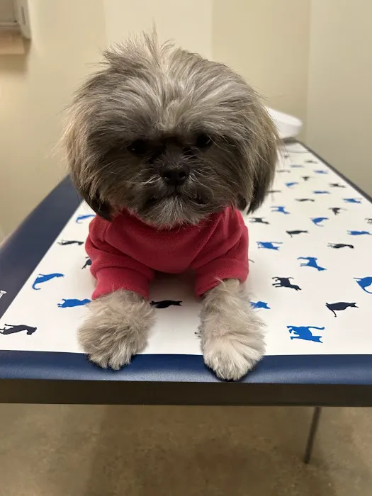 Vetco Total Care Animal Hospital Picture 4