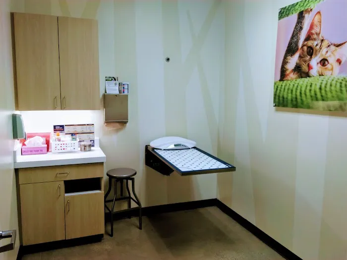 Vetco Total Care Animal Hospital Picture 6