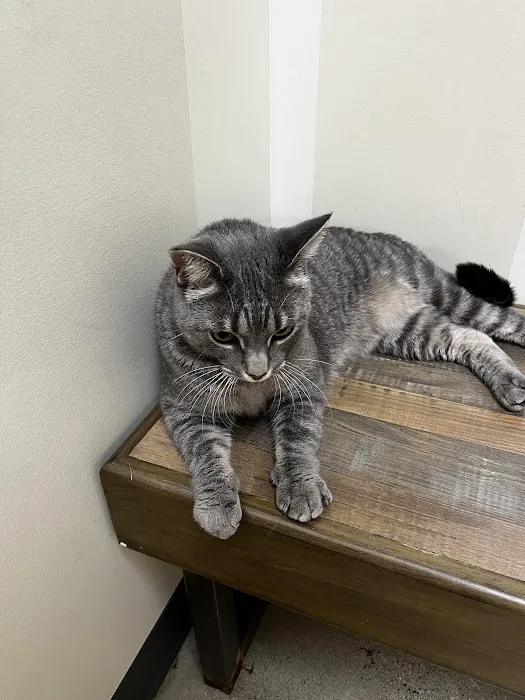 Vetco Total Care Animal Hospital Picture 10