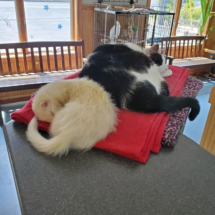 Animal Center Picture 6
