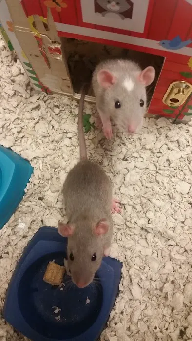 Animal Center Picture 8