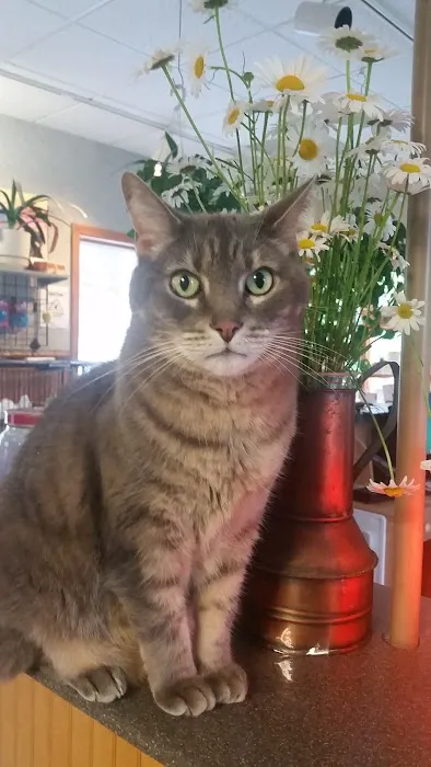 Animal Center Picture 5