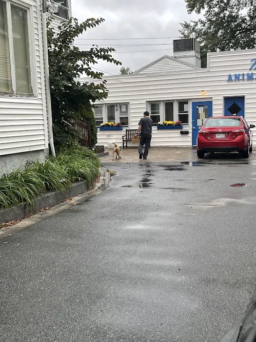 Malden Animal Hospital & Kennel Picture 4