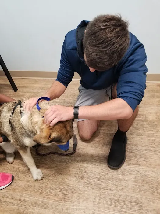 Veterinary Urgent Care Center - Saugus Picture 1