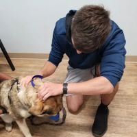Veterinary Urgent Care Center - Saugus ico