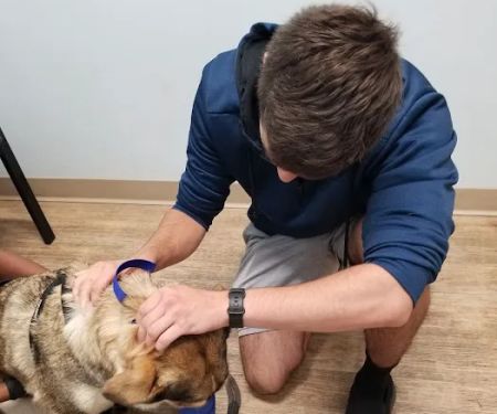 Veterinary Urgent Care Center - Saugus