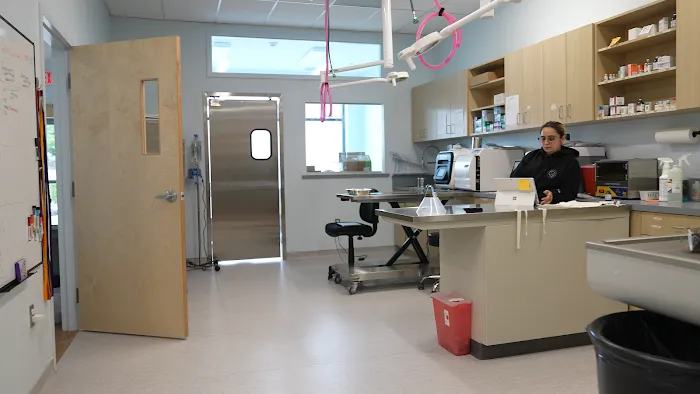Veterinary Urgent Care Center - Saugus Picture 6