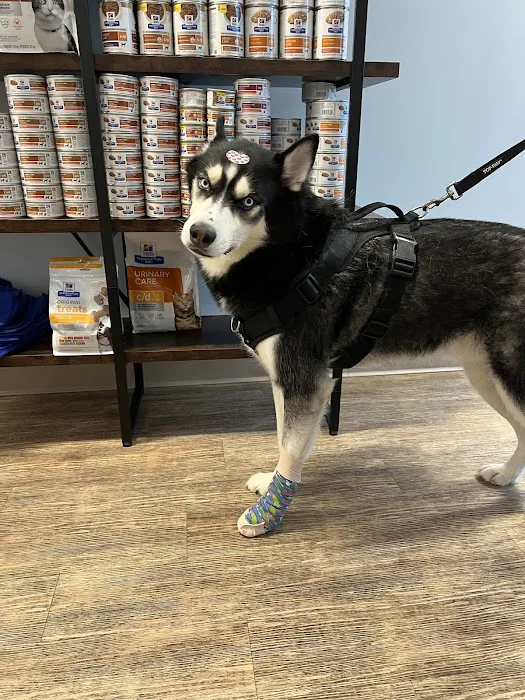 Veterinary Urgent Care Center - Saugus Picture 2