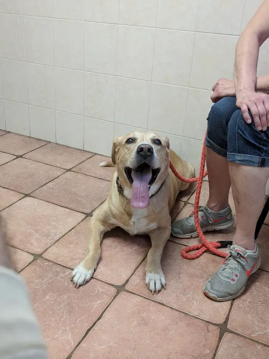 Revere Pet Clinic Picture 6