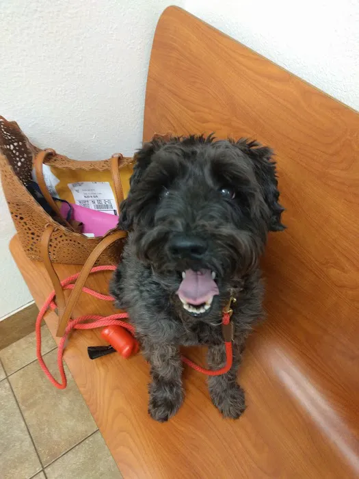 Banfield Pet Hospital Picture 1