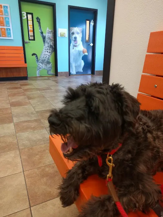 Banfield Pet Hospital Picture 9