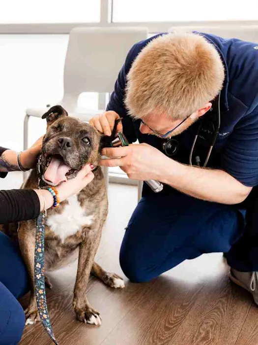 PetMedic Urgent Care Vet Clinic - Peabody Picture 4
