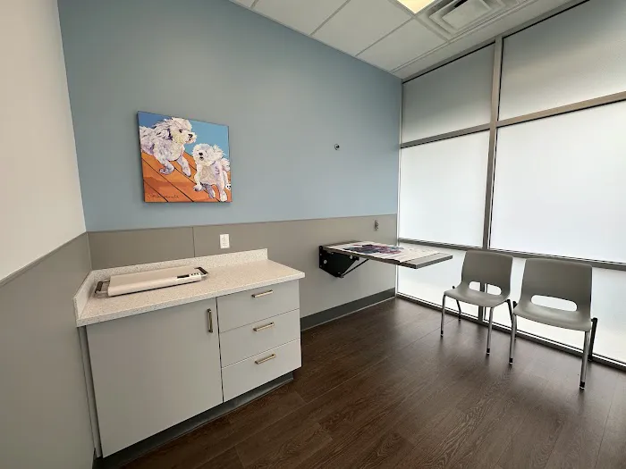 PetMedic Urgent Care Vet Clinic - Peabody Picture 3