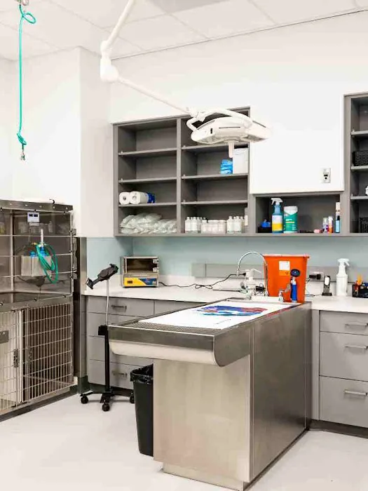 PetMedic Urgent Care Vet Clinic - Peabody Picture 1