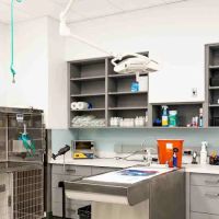 PetMedic Urgent Care Vet Clinic - Peabody ico
