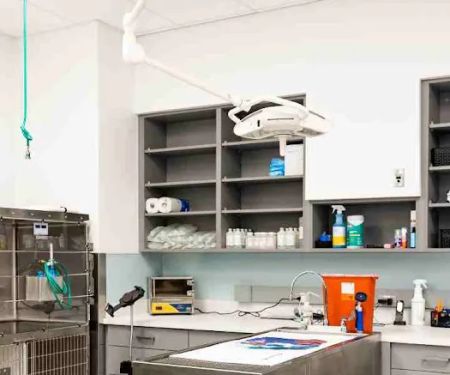 PetMedic Urgent Care Vet Clinic - Peabody