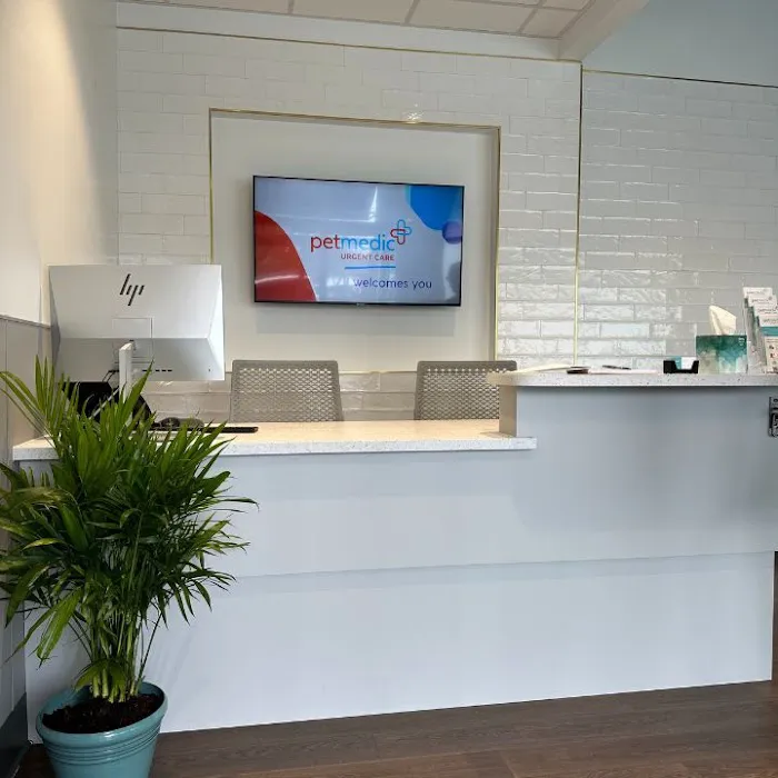 PetMedic Urgent Care Vet Clinic - Peabody Picture 5