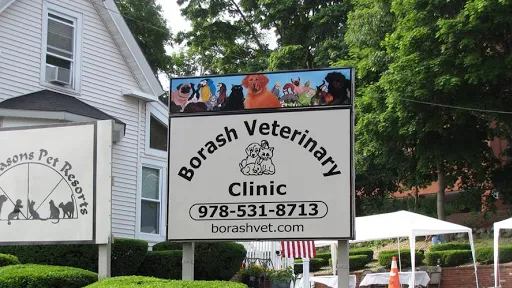 Borash Veterinary Clinic Picture 3
