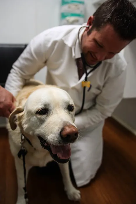 Borash Veterinary Clinic Picture 9
