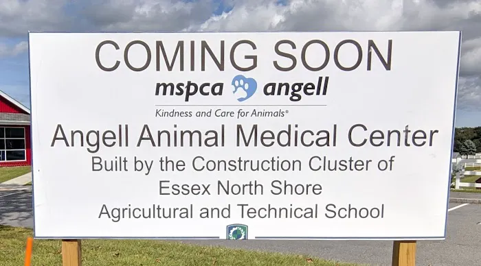 Angell at Essex Picture 1