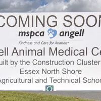 Angell at Essex ico