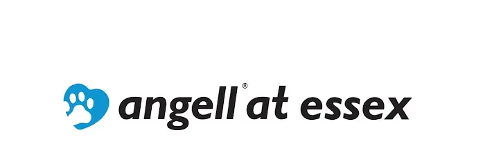 Angell at Essex Picture 10