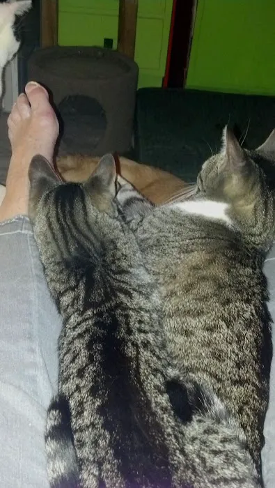 Spoil-Me-Rotten Animal Care Picture 4