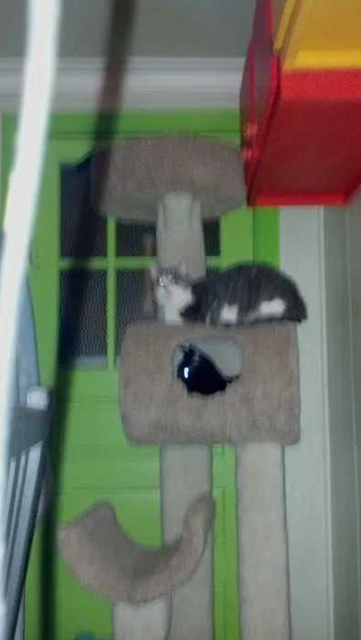 Spoil-Me-Rotten Animal Care Picture 5