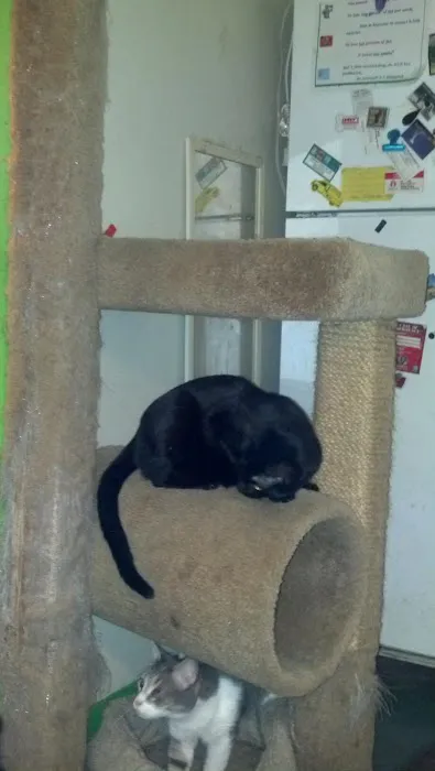 Spoil-Me-Rotten Animal Care Picture 2