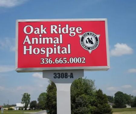Oak Ridge Animal Hospital
