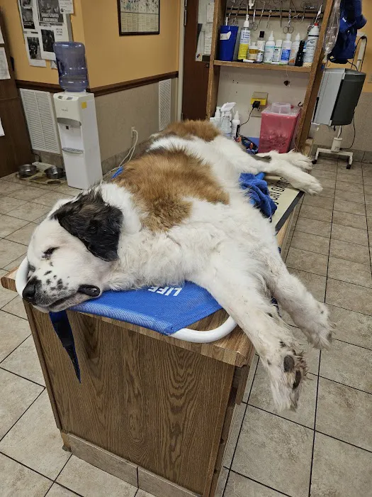 Oak Ridge Animal Hospital Picture 4