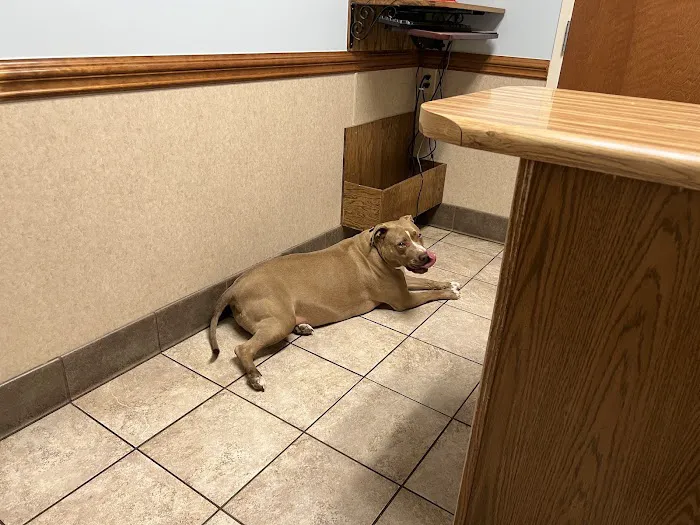 Oak Ridge Animal Hospital Picture 10