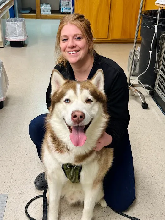Bel - Aire Veterinary Hospital Picture 8