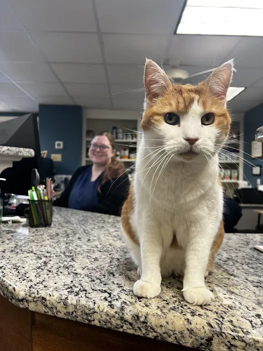 Bel - Aire Veterinary Hospital Picture 7