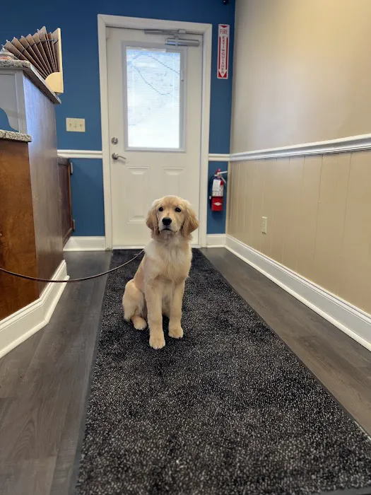 Bel - Aire Veterinary Hospital Picture 10
