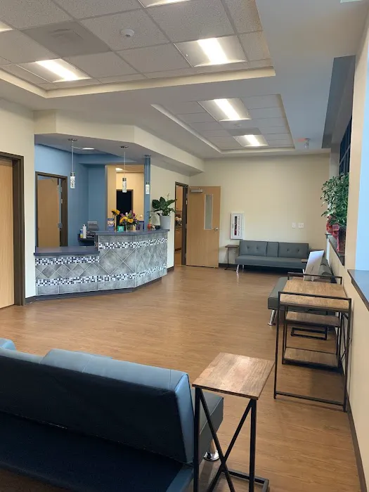 All About Eyes Vet Ophthalmology Clinic Picture 6