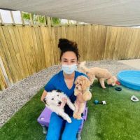 Cardinal Animal Hospital ico