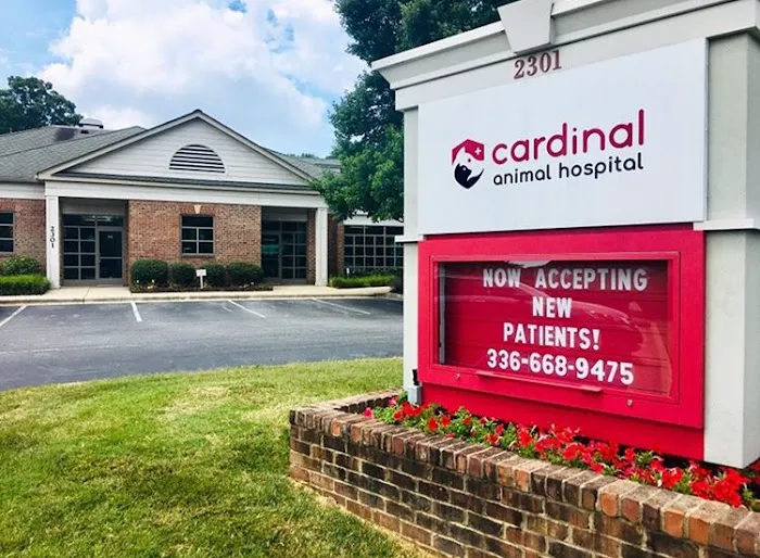 Cardinal Animal Hospital Picture 4