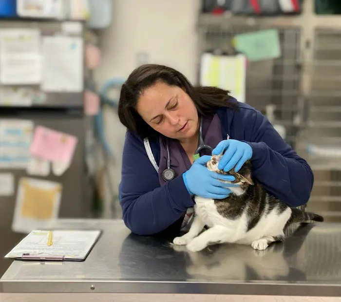 Happy Tails Veterinary Emergency Clinic Picture 7