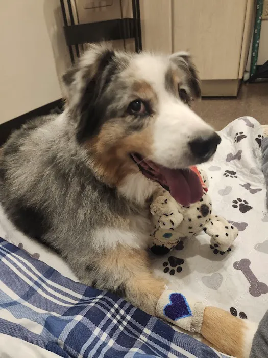 Happy Tails Veterinary Emergency Clinic Picture 8