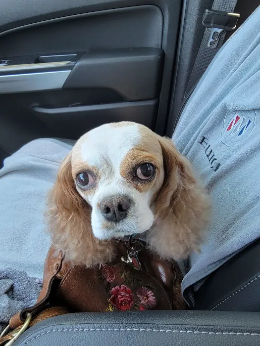Happy Tails Veterinary Emergency Clinic Picture 5