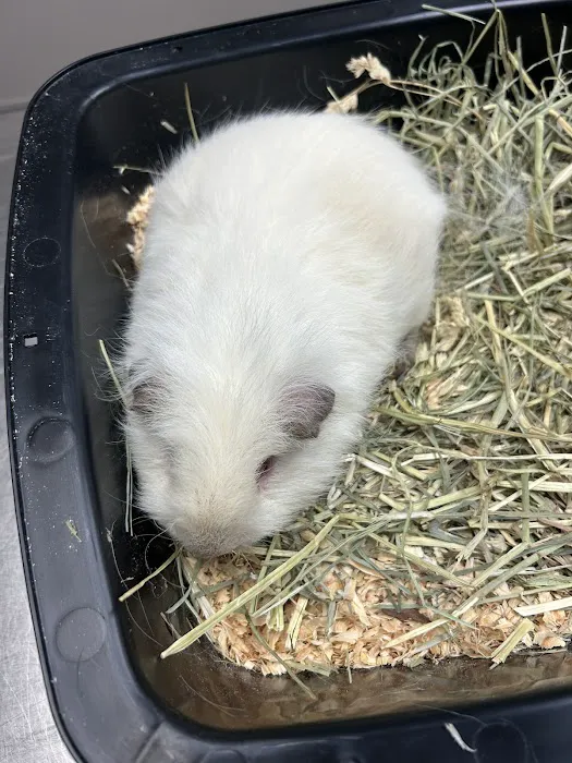 All Creatures Veterinary Hospital Picture 9