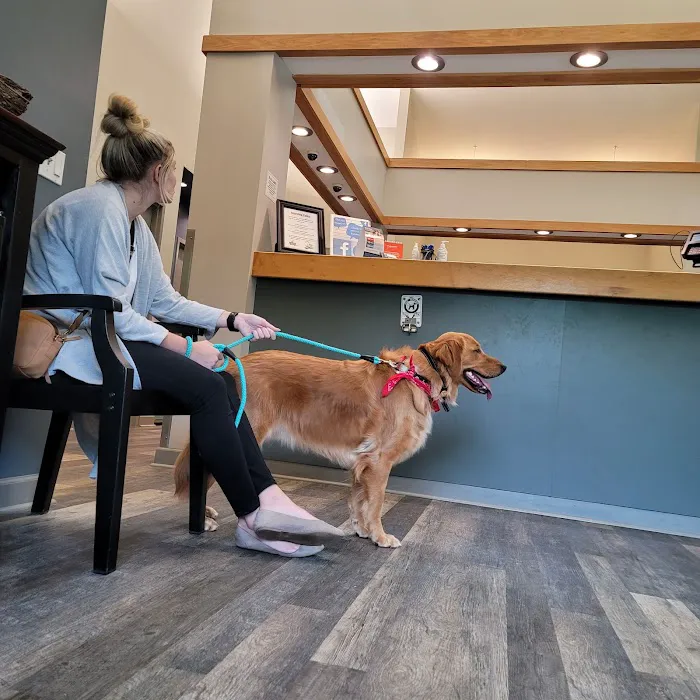 All Creatures Veterinary Hospital Picture 8