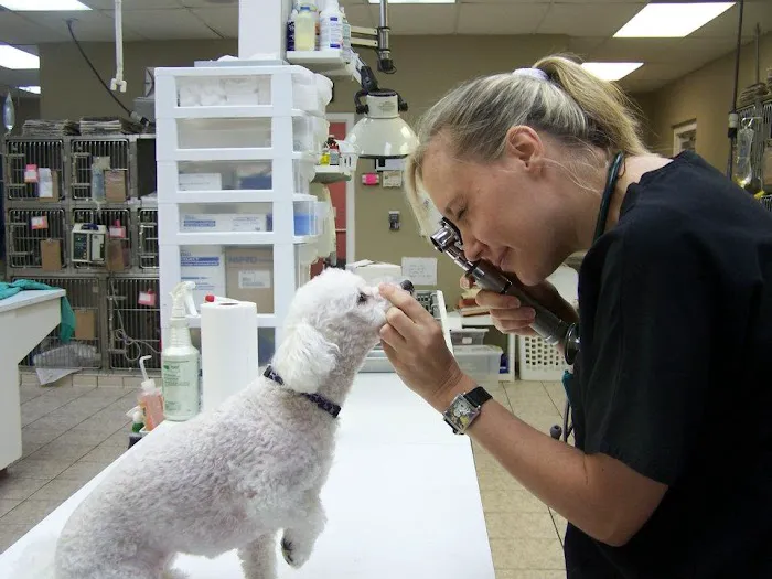 Lawndale Veterinary Hospital Picture 6