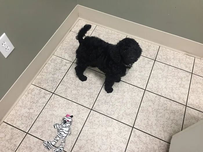 Lawndale Veterinary Hospital Picture 4