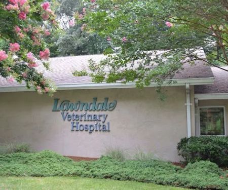 Lawndale Veterinary Hospital