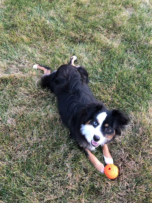 Lawndale Veterinary Hospital Picture 7