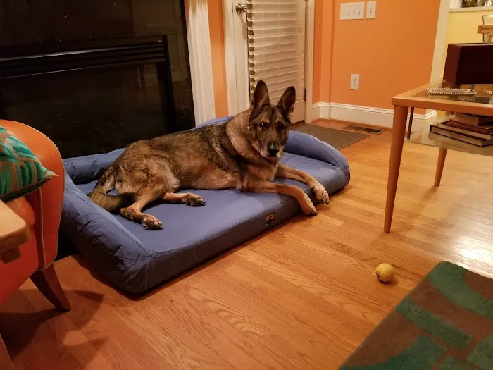 Garden Creek Pet Clinic Picture 4