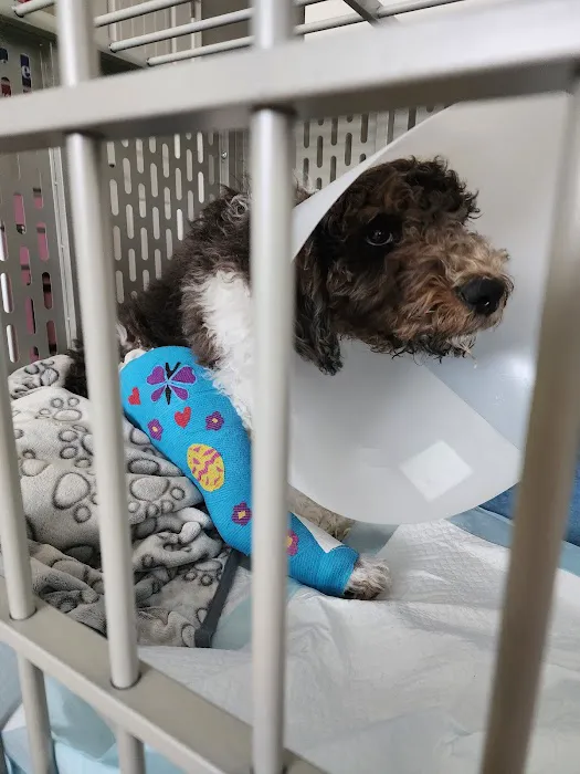 Cobb Animal Clinic Picture 3